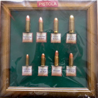 Cuadro 8 cartuchos pistola